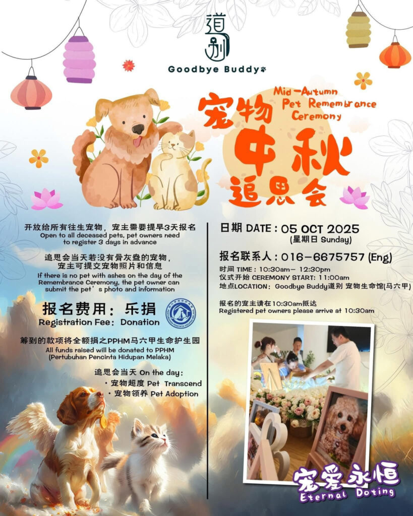 中秋宠物追思超度会