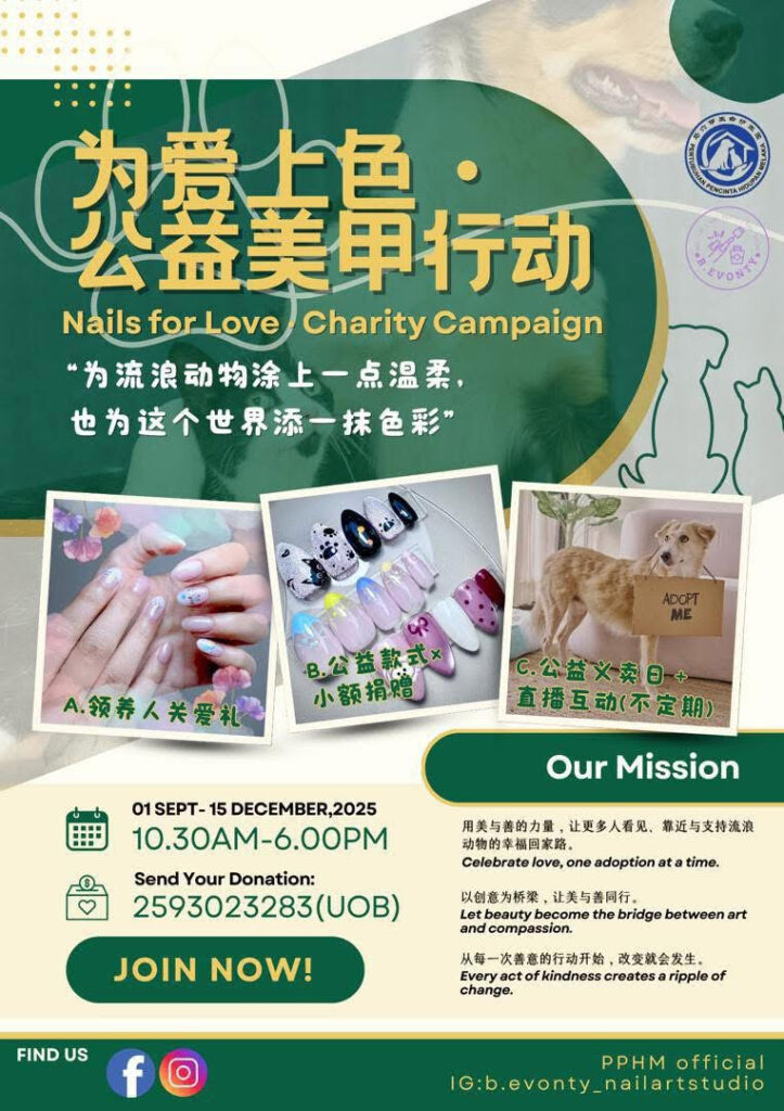 Nail Art Support